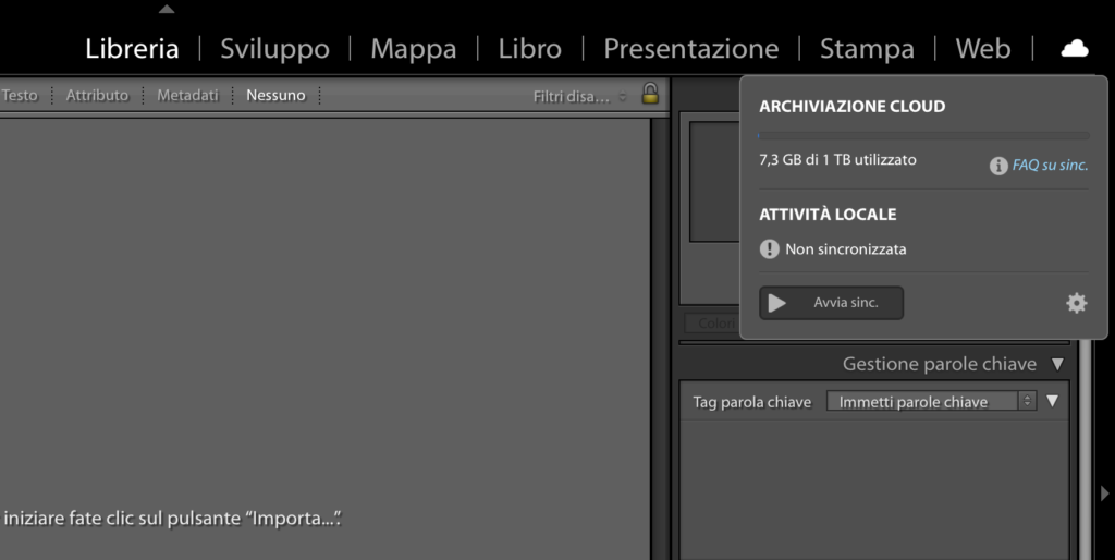 Le novità Lightroom 2020: Il nuovo pannello sincronizzazione 
